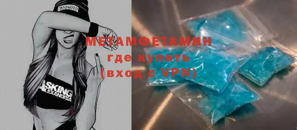 прущие грибы Коряжма