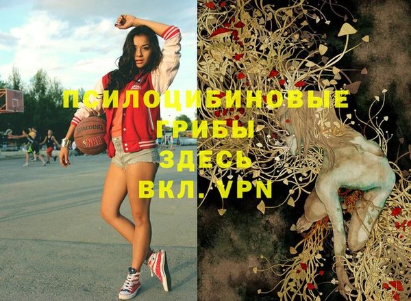 марки nbome Краснотурьинск