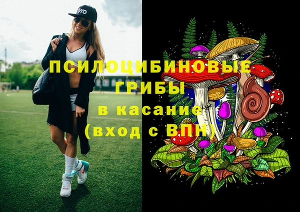 мет Корсаков