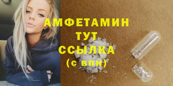 прущие грибы Коряжма