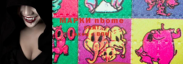 прущие грибы Коряжма