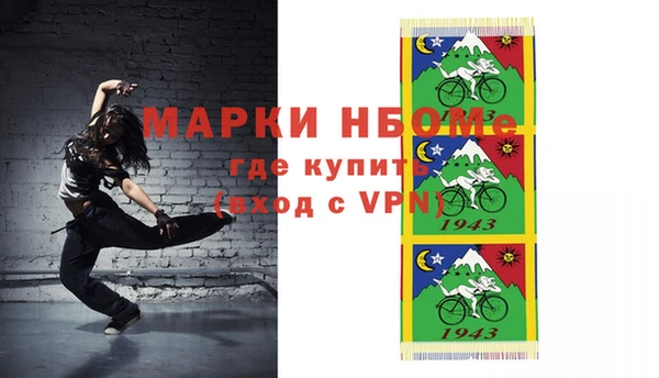 прущие грибы Коряжма
