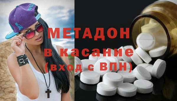 прущие грибы Коряжма