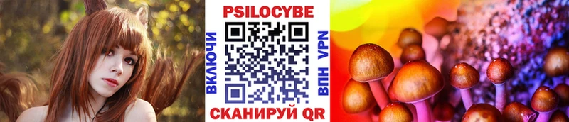Купить  Гай  Псилоцибиновые грибы прущие грибы 
